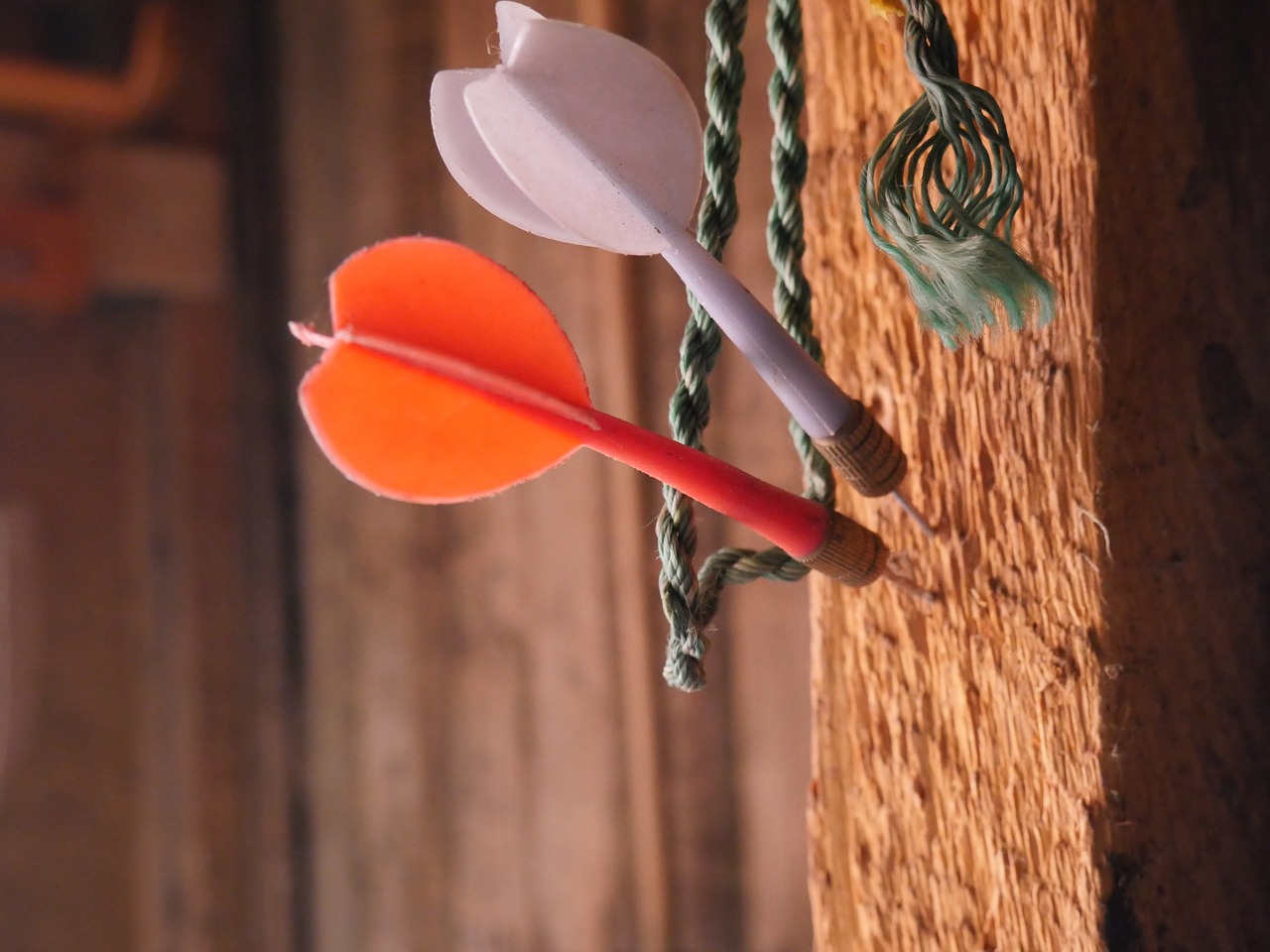 「性格」と「性質」のちょっと意外な違いって?