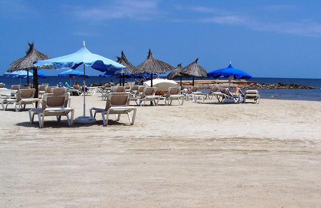 「さける」と「よける」の微妙な使い分けで、あなたの生活がもっと楽になるかも!?